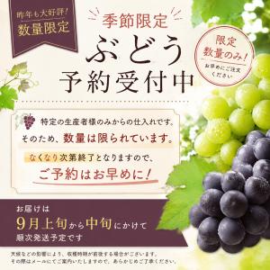 ぶどう キャンベル 4kg 岩手県産 産地直送...の詳細画像1