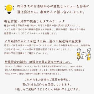ぶどう キャンベル 4kg 岩手県産 産地直送...の詳細画像3