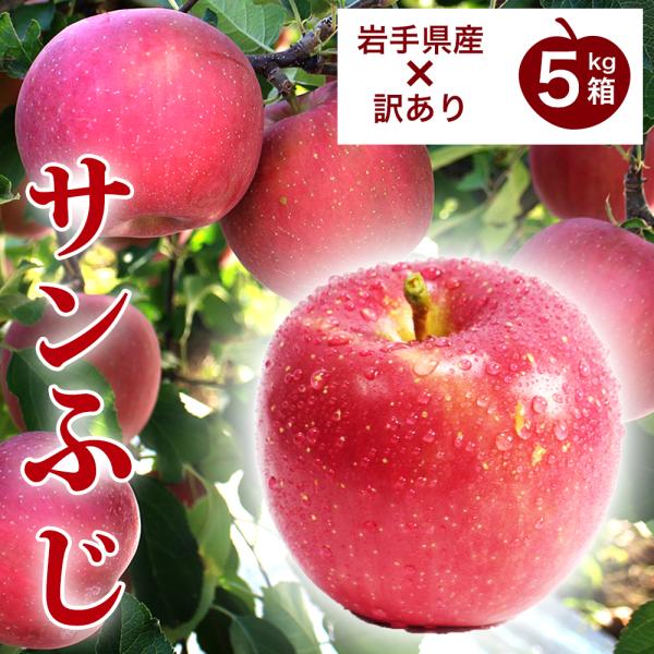 りんご 訳あり 産地直送 岩手県産 サンふじ 5kg 13玉から ふじ ご自宅用 農家直送 林檎 リ...