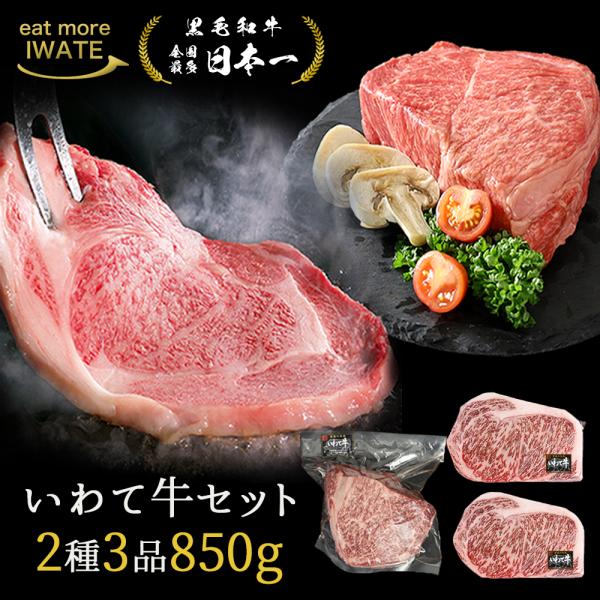 歴代最多日本一 黒毛和牛 いわて牛 豪華 2種3点セット 850g ステーキ肉 ブロック肉
