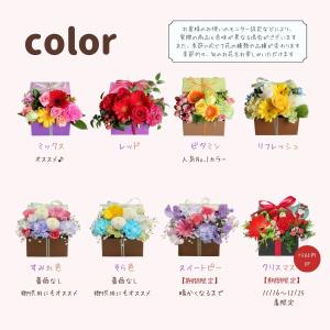 【母の日 2026】フラワーアレンジ 花 3D...の詳細画像1