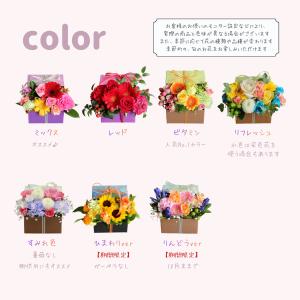 花 祝い ギフト プレゼント フラワーアレンジ...の詳細画像1