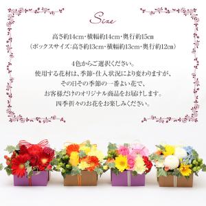 【母の日 2026】フラワーアレンジ 花 3D...の詳細画像5