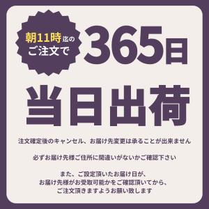 お供え 花 フラワーアレンジ 御供 仏花 墓花...の詳細画像1