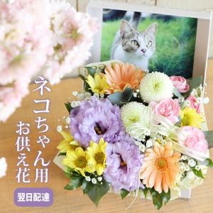 【ネコちゃんのお供え花】アレンジメント 生花 花 可愛い 贈り物 カラフル ペット 専用 猫 にゃんこ ねこ  お悔やみ 葬式 一周忌 命日｜fs-come