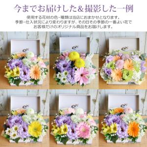 【にゃんこ用 猫 お供え花】ペット 御供 仏花...の詳細画像1