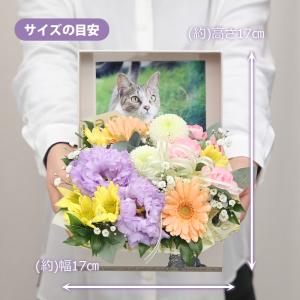 【にゃんこ用 猫 お供え花】ペット 御供 仏花...の詳細画像2