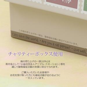 【にゃんこ用 猫 お供え花】ペット 御供 仏花...の詳細画像3