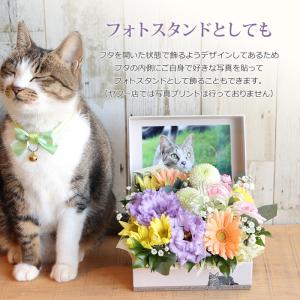 【にゃんこ用 猫 お供え花】ペット 御供 仏花...の詳細画像4