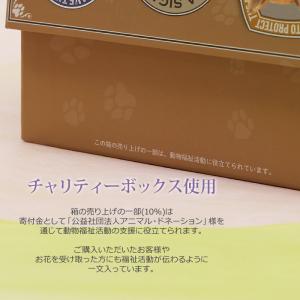 わんこ用 ボックス アレンジ 犬 お供え花 ペ...の詳細画像3