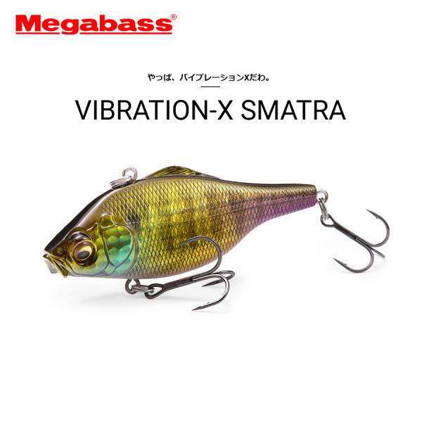 Megabass メガバス VIBRATION-X スマトラ ラトルイン バイブレーションX