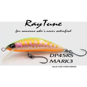 RayTune（レイチューン） デュプレックス シンキング DP45RR 45mm