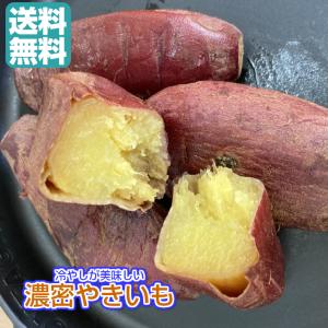 冷やし　濃密やきいも 900g／180gパックが5袋 送料無料（冷蔵　濃密やきいも×5P）青果 無添加　冷蔵 食べきりサイズ 焼き芋 国産 紅はるか シルクスィート