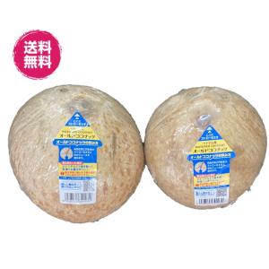 【送料無料】成熟オールドココナッツ 4玉（ココナッツ 4玉） ココヤシ ヤシノミ ココナッツ 美味しい ココナツ ベトナム産 フルーツ 果物 青果 サイズ込
