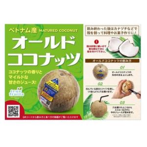 【送料無料】成熟オールドココナッツ 4玉(ココ...の詳細画像2