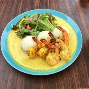 【送料無料】成熟オールドココナッツ 4玉(ココ...の詳細画像5