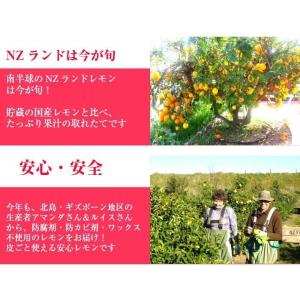 防ばい剤不使用(メイヤーレモン NZ産 10k...の詳細画像2