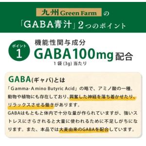 機能性表示食品 GABA青汁 30杯分 1袋3...の詳細画像4