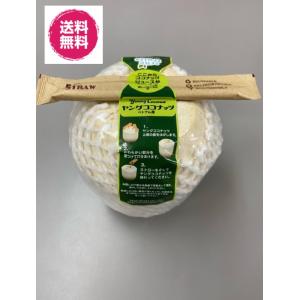 ベトナム産 ココナッツ 「ヤングココナッツ」 12玉入り （箱） : 生鮮
