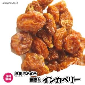 無添加インカベリー 500g（インカベリー500g）食用ほおずき ドライフルーツ ゴールデンベリー 無添加 砂糖不使用 送料無料 チャック袋｜fs-yokohama