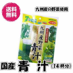 九州産野菜の青汁 28杯分 1袋14杯分が2袋（青汁×2P）青汁 国産 健康補助食品 送料無料 国産 4種の野菜 ケール 大麦若葉 明日葉 ゴーヤ 14杯分 3g 14P｜fs-yokohama