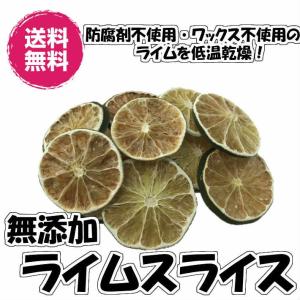 無添加ライムライス 40g／20gパックが2袋入り 輪切り ドライフルーツ 砂糖不使用 送料無料 （ライム20g×2P FSY） 送料無料 フォンダンウォーター 無添加｜fs-yokohama