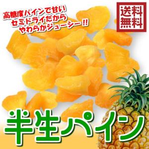 ドライパイナップル フィリピン産 160g／80gパックが2袋入り 半生タイプ ひとくちサイズ 送料無料（半生パイン80g×2P）ドライフルーツ チャック袋｜fs-yokohama