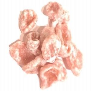 ドライアンズ 飴掛け 西洋あんず 400g ド...の詳細画像1