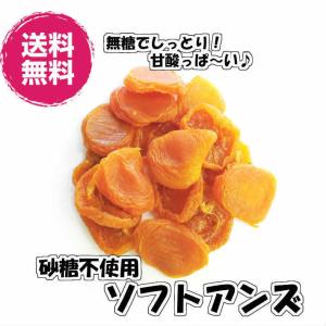 砂糖不使用ソフトアンズ ブレインハイム種 アメリカ産1kg ドライフルーツ 送料無料（ブレイン　アンズ1kg）チャック袋 １ｋｇ 半生タイプ ＵＳ産 種抜｜fs-yokohama