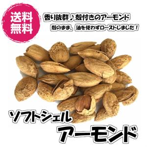 殻付きアーモンド ロースト 塩味 ナッツ 送料無料 210g／70gパックが3袋入り （ソフトシェル70g×3P）お試しサイズ　アーモンド 殻付き ソフトシェルアーモンド