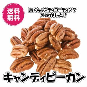 キャンディピーカン 120g／60gパックが2ふくろ入 ピーカンナッツの飴掛け ナッツ 送料無料（キャンデP60g×2P）ピーカンナッツ ペカンナッツ お菓子 お試し