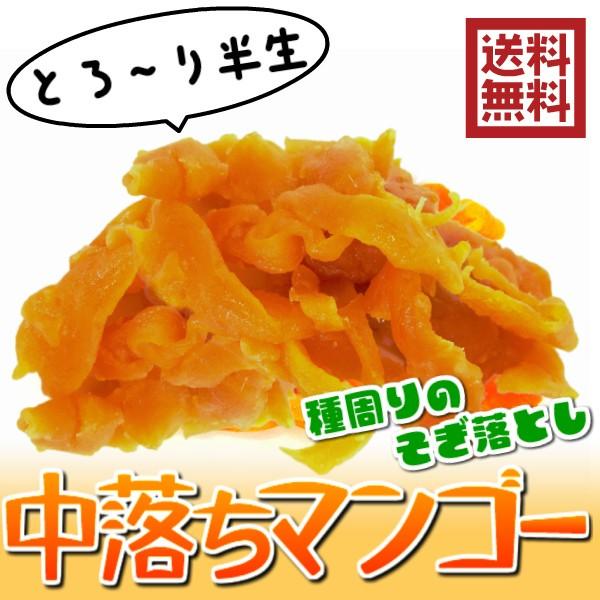 ドライーマンゴー 半生ドライフルーツ 1kg 中落ちのジューシーマンゴー （中落ちマンゴー1kg）セ...