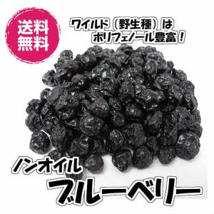 ノンオイル　ブルーベリー　アメリカ産 500ｇ／250gパックが2袋入り 野生種 ドライフルーツ 送料無料（ブルーベリー250g×2P）お試し商品 チャック袋｜fs-yokohama