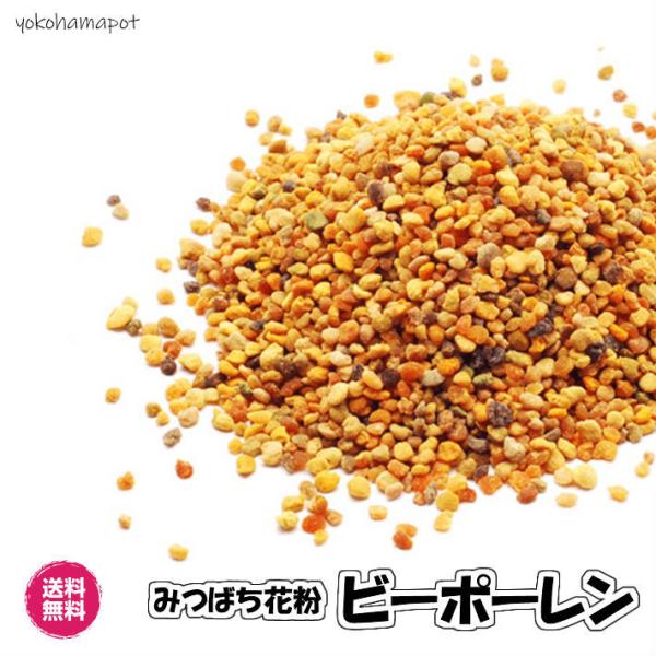 ビーポーレン 1kg スペイン産 食用花粉 スーパーフード 送料無料 （ビーポーレン1kg）ハチミツ...