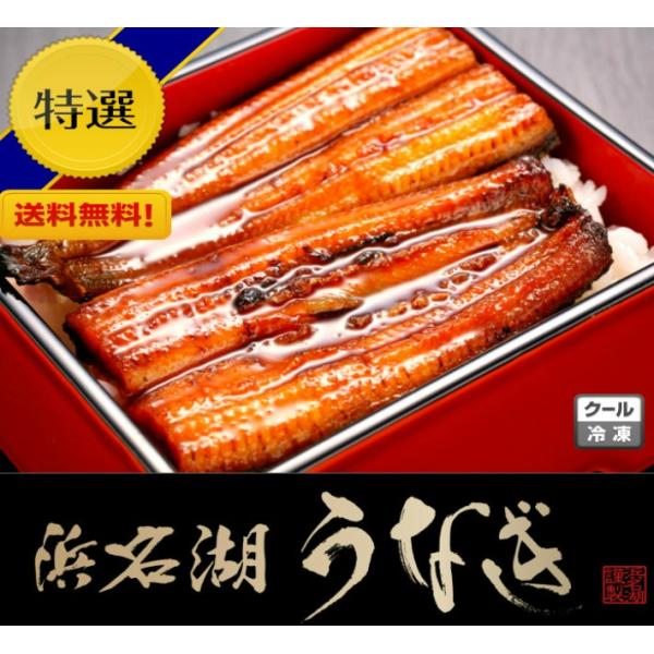 静岡（浜名湖うなぎ蒲焼き2本）長焼き 真空パック凍結 国産うなぎ 本島送料無料 産直