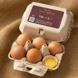 平飼いたまご 6個×2パック (北海道 Farm Agricola) 産地直送 アグリコラ 卵｜fs21