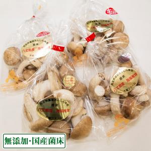 海風しいたけ 特選品 500g (東京都 大竜ファーム)八丈島きのこ