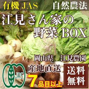 江見さん家の野菜BOX 自然農法 有機JAS (岡山県 江見農園) 産地直送｜fs21