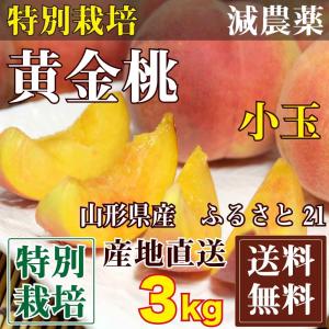 ふるさと21おすすめ「黄金桃」小玉 約2.7〜3kg(12〜...