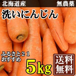 洗いにんじん 5kg A・B品サイズ混合 無農薬人参 (北海道 ふるさと21おすすめ)