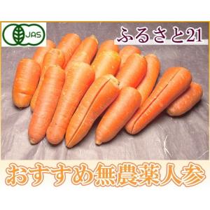 【クール冷蔵便】【規格外加工用】 にんじん 10kg箱 有機JAS (ふるさと21)