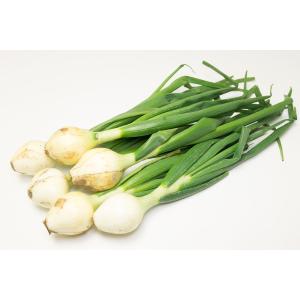 葉付き玉ねぎ 約2kg 自然農法 無肥料栽培 ...の詳細画像1