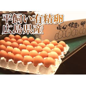 平飼い有精卵　40個(広島県　はやしなちゅらるふぁーむ)・産地直送・健康たまご