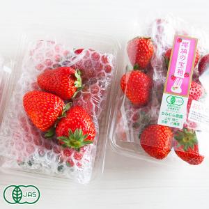 【予約・クール便】有機イチゴ 瑠璃の宝石 250g×4パック 有機JAS (京都府 かみむら農園) 産地直送 いちご｜fs21