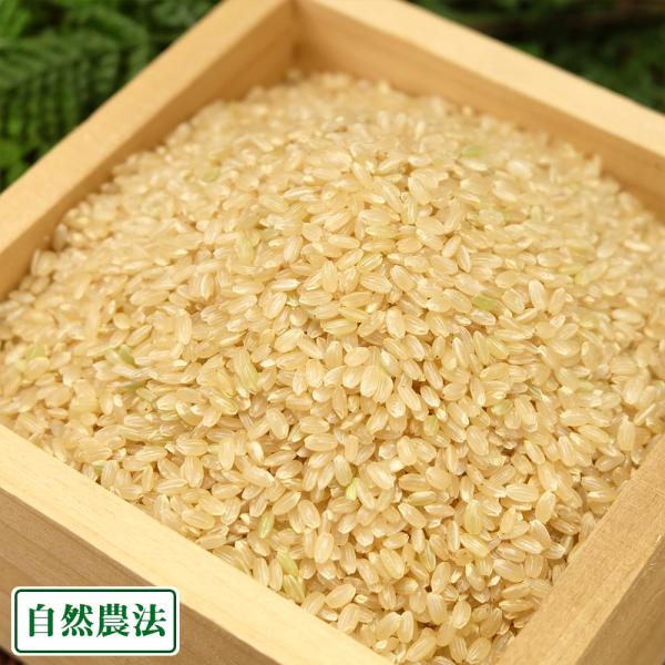 【令和5年度産】河原さんのお米 玄米30kg 自然農法(岡山県 河原農園) 産地直送