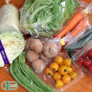 せっちゃんの有機野菜セット 有機JAS (青森県 自然食ねっと青森) 産地直送｜fs21