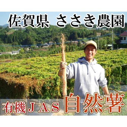 【家庭用】自然薯 約1kg(1〜2本) 有機JAS (佐賀県 ささき農園) 産地直送