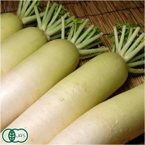 有機 大根 8本前後(約8kg) 有機JAS (青森県 自然食ねっと青森)