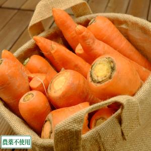 にんじん 10kg箱 無農薬 (ふるさと21)