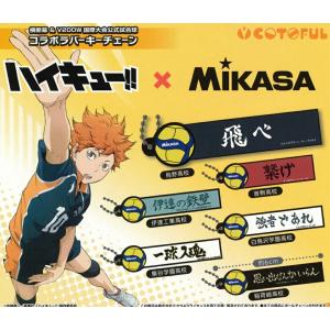 ハイキュー!!×MIKASA 横断幕&V200W...の商品画像